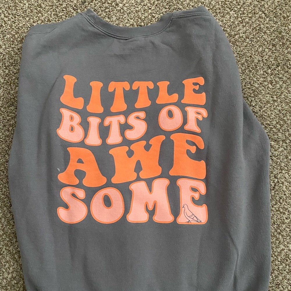 little bits of awesome sweatshirt